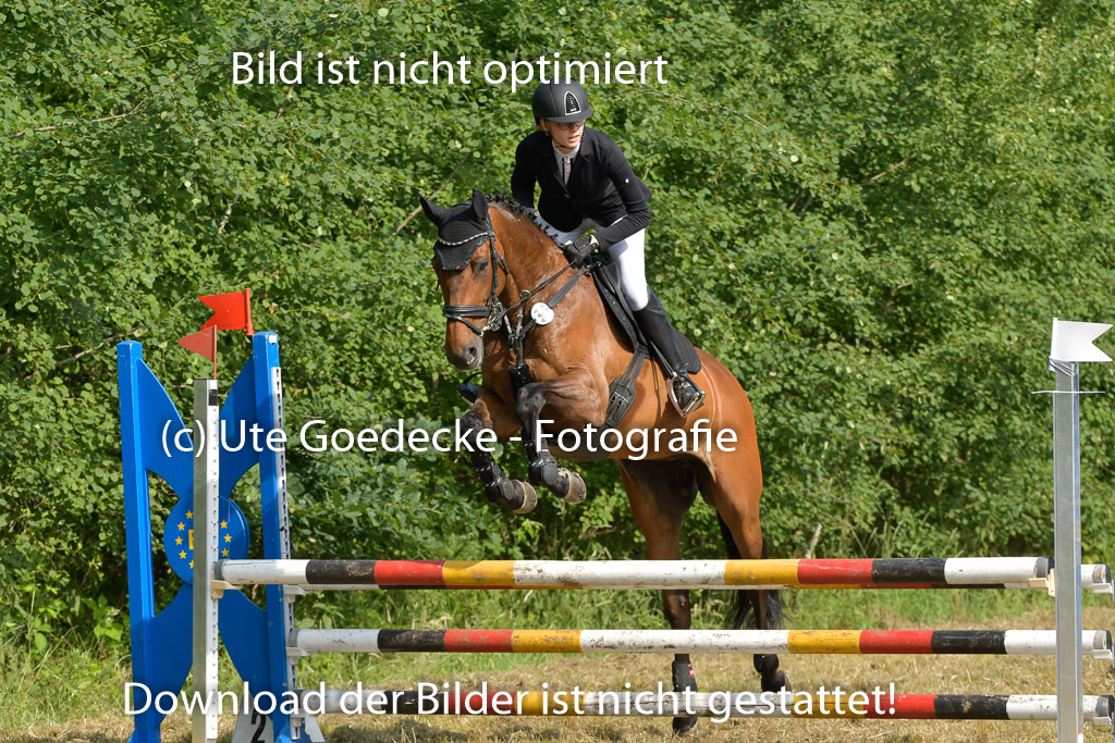Mechtersen 25.06.2023 | 25062023 Stil Springen A_080