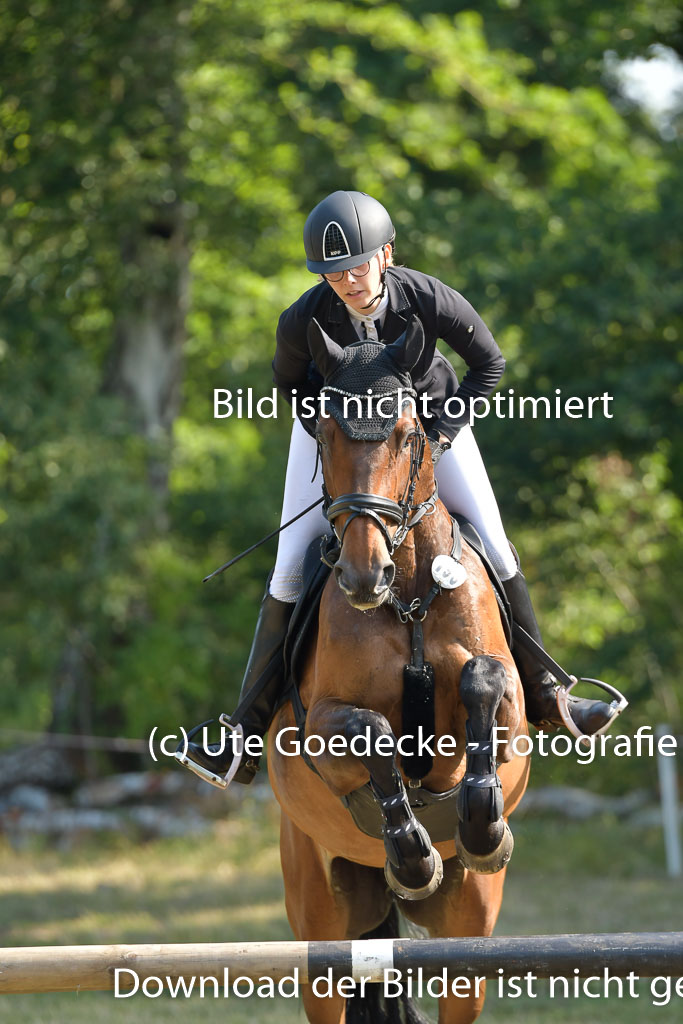 Mechtersen 25.06.2023 | 25062023 Stil Springen A_083