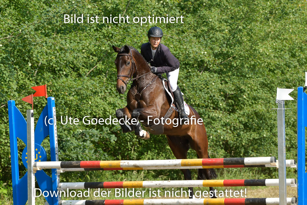 Mechtersen 25.06.2023 | 25062023 Stil Springen A_095