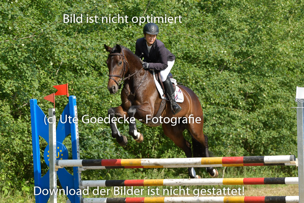 Mechtersen 25.06.2023 | 25062023 Stil Springen A_096