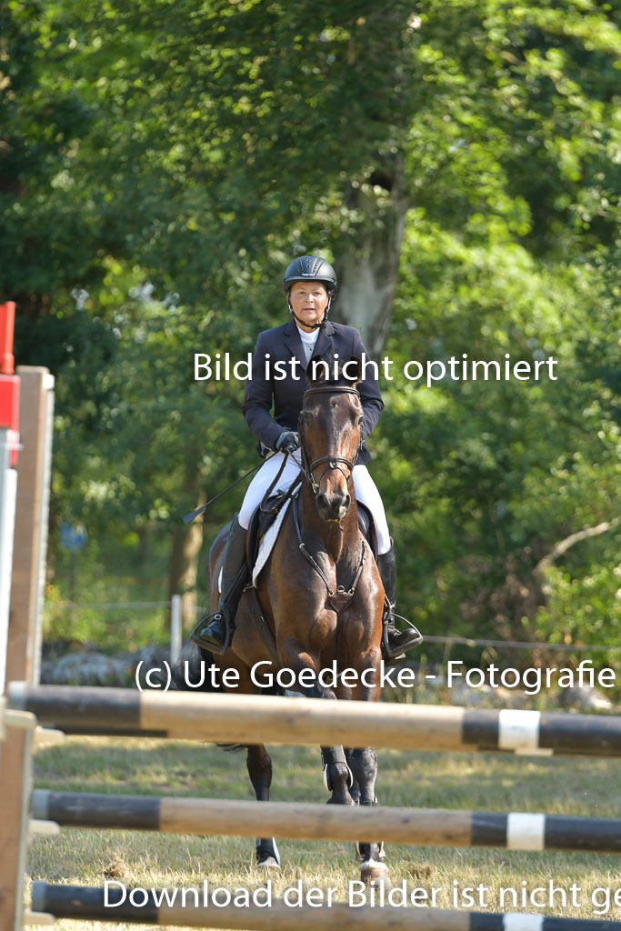 Mechtersen 25.06.2023 | 25062023 Stil Springen A_099
