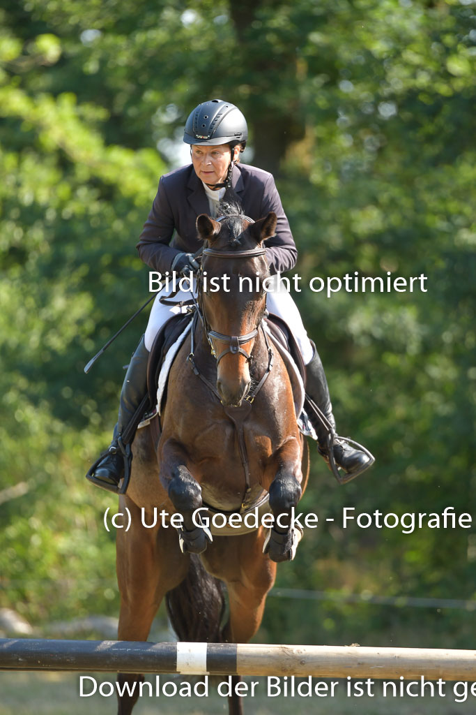 Mechtersen 25.06.2023 | 25062023 Stil Springen A_100