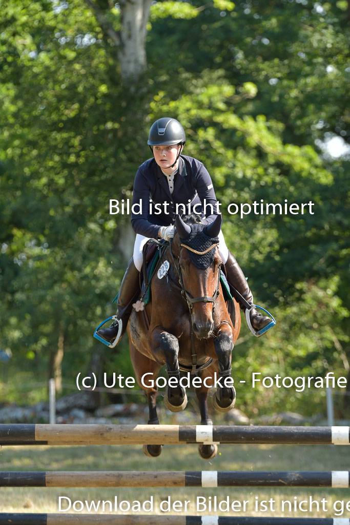 Mechtersen 25.06.2023 | 25062023 Stil Springen A_104
