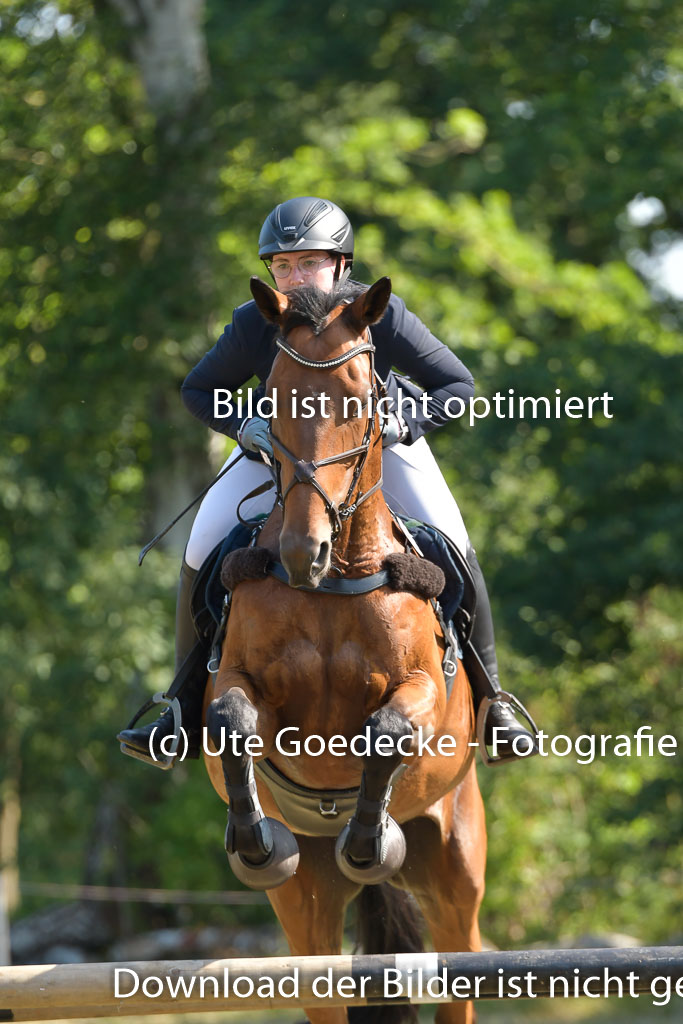 Mechtersen 25.06.2023 | 25062023 Stil Springen A_118