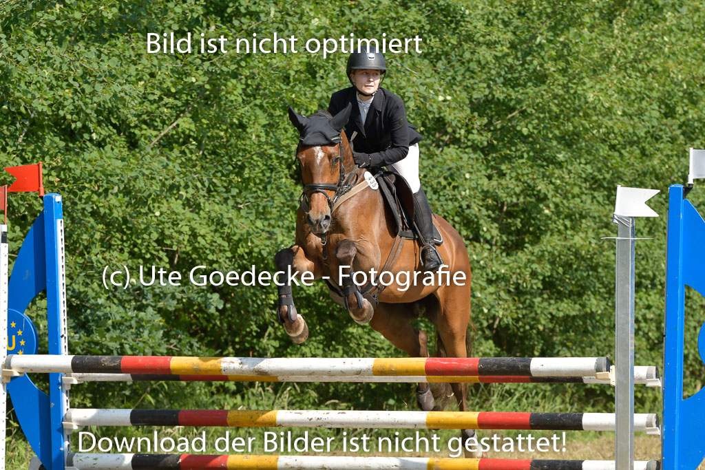 Mechtersen 25.06.2023 | 25062023 Stil Springen A_119