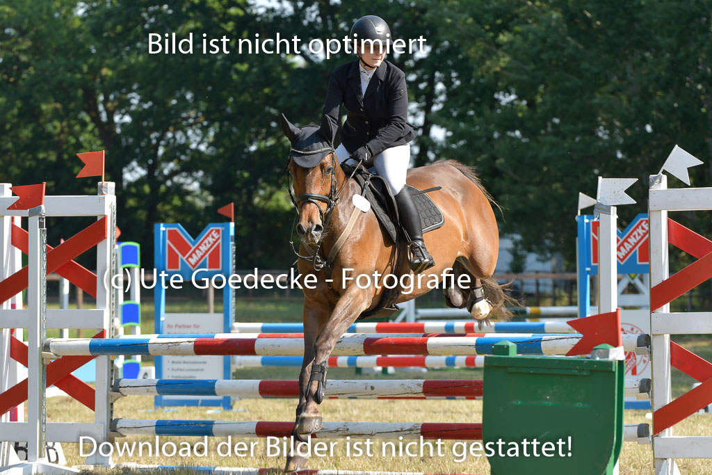 Mechtersen 25.06.2023 | 25062023 Stil Springen A_122