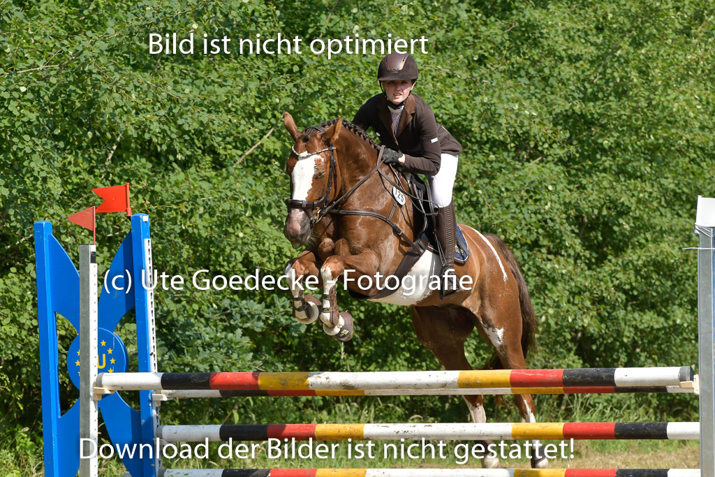 Mechtersen 25.06.2023 | 25062023 Stil Springen A_133