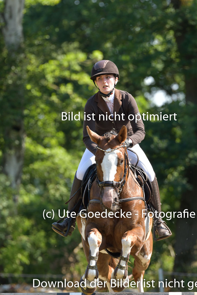 Mechtersen 25.06.2023 | 25062023 Stil Springen A_137