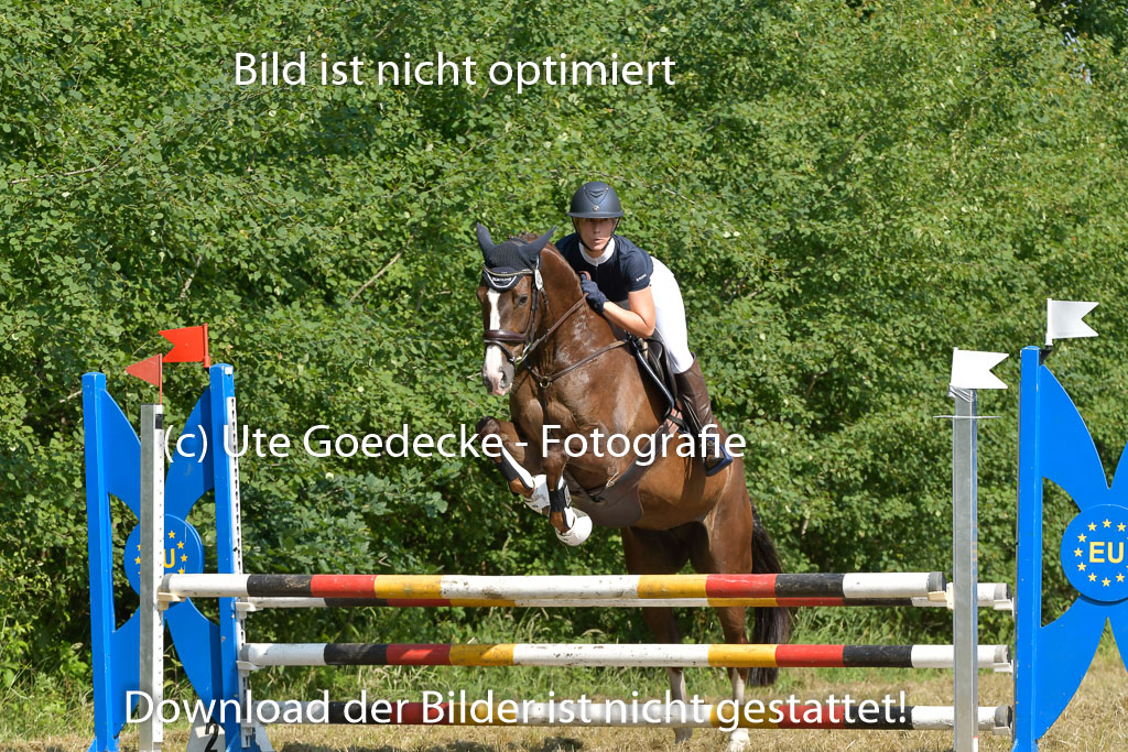 Mechtersen 25.06.2023 | 25062023 Stil Springen A_141