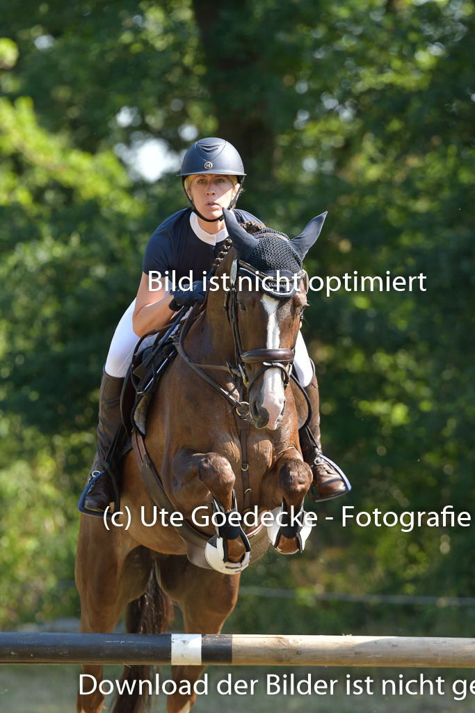 Mechtersen 25.06.2023 | 25062023 Stil Springen A_146