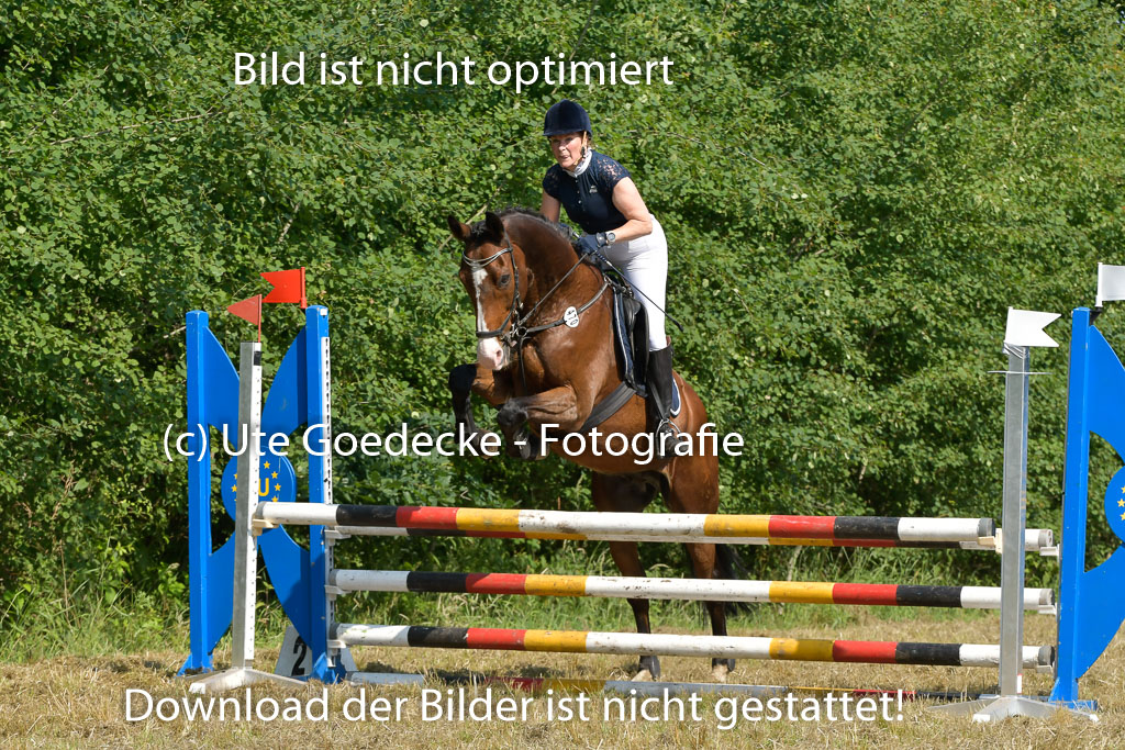 Mechtersen 25.06.2023 | 25062023 Stil Springen A_147