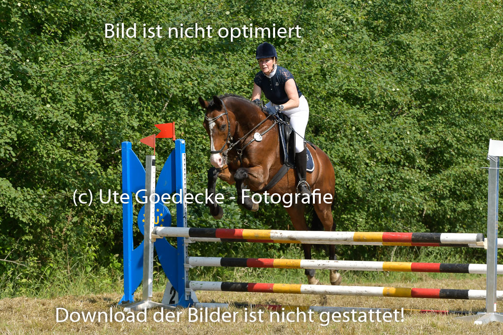 Mechtersen 25.06.2023 | 25062023 Stil Springen A_148