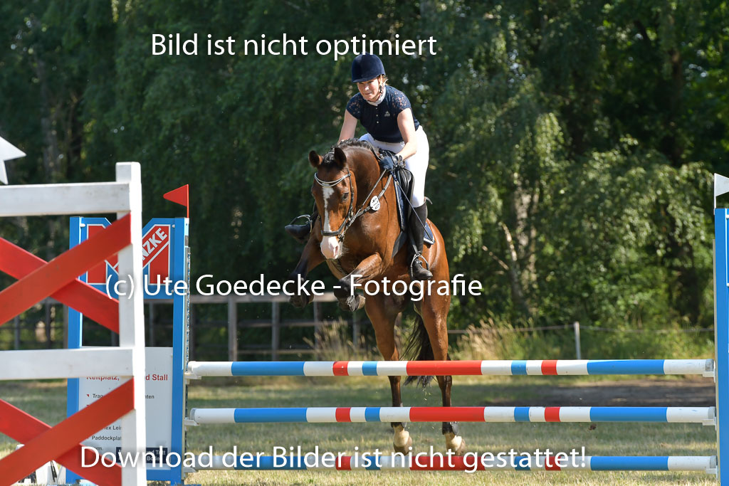 Mechtersen 25.06.2023 | 25062023 Stil Springen A_149