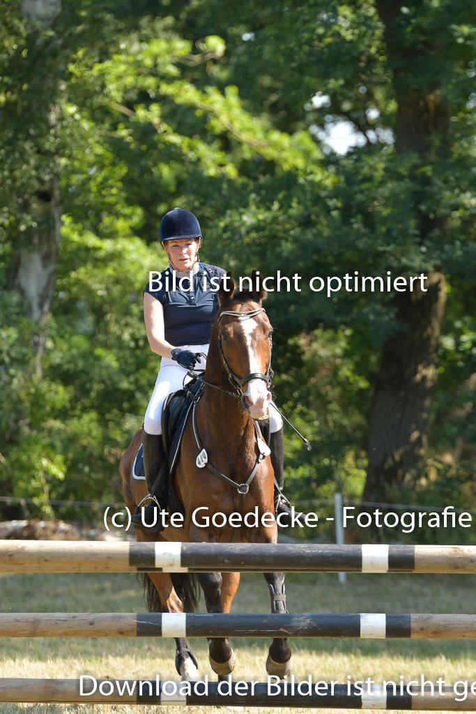 Mechtersen 25.06.2023 | 25062023 Stil Springen A_152