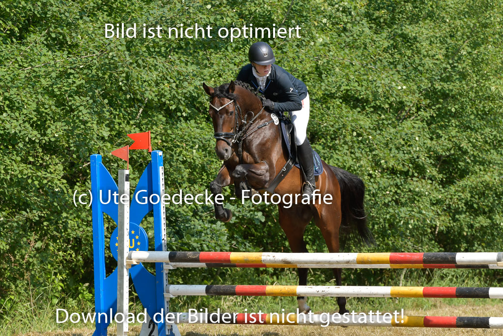 Mechtersen 25.06.2023 | 25062023 Stil Springen A_154