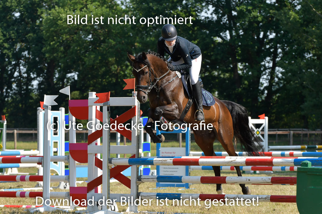 Mechtersen 25.06.2023 | 25062023 Stil Springen A_156