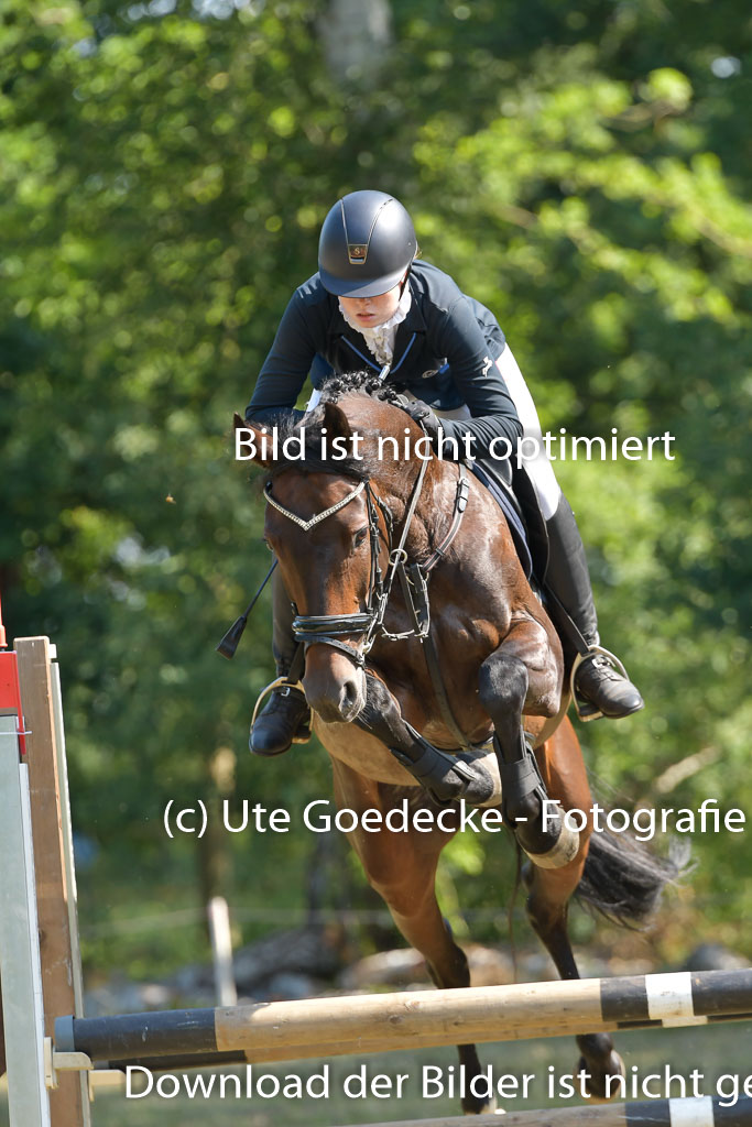 Mechtersen 25.06.2023 | 25062023 Stil Springen A_157