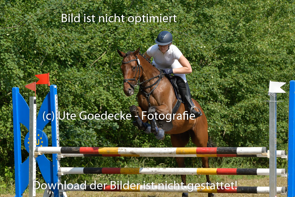 Mechtersen 25.06.2023 | 25062023 Stil Springen A_172