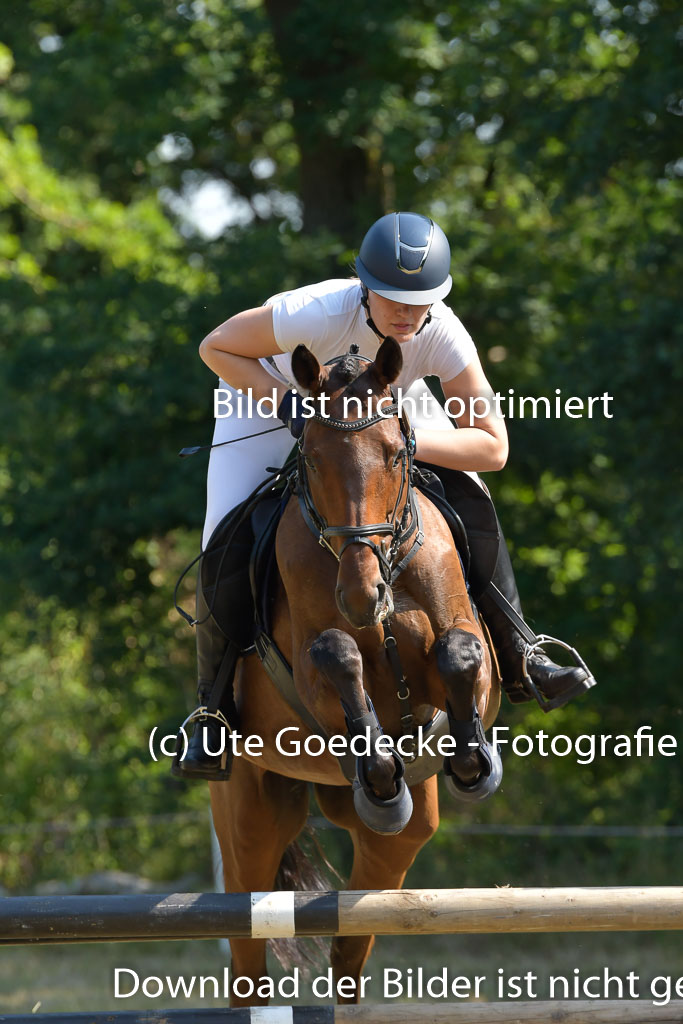 Mechtersen 25.06.2023 | 25062023 Stil Springen A_175