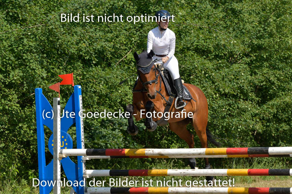 Mechtersen 25.06.2023 | 25062023 Stil Springen A_177