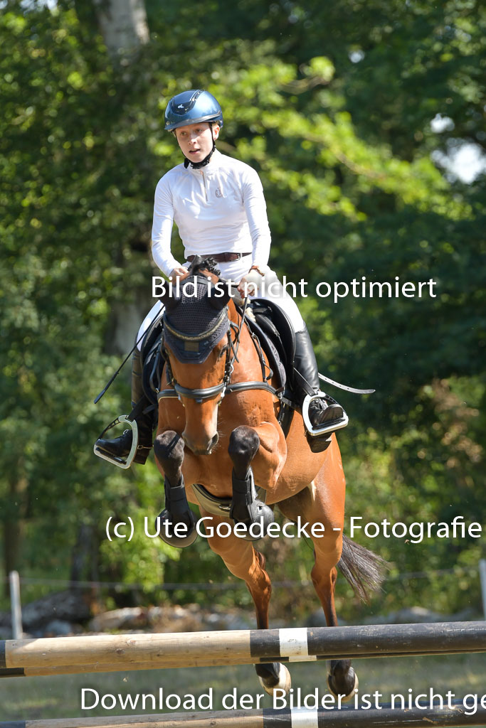 Mechtersen 25.06.2023 | 25062023 Stil Springen A_179