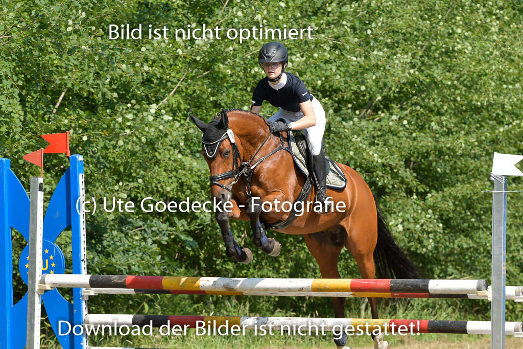 Mechtersen 25.06.2023 | 25062023 Stil Springen A_180