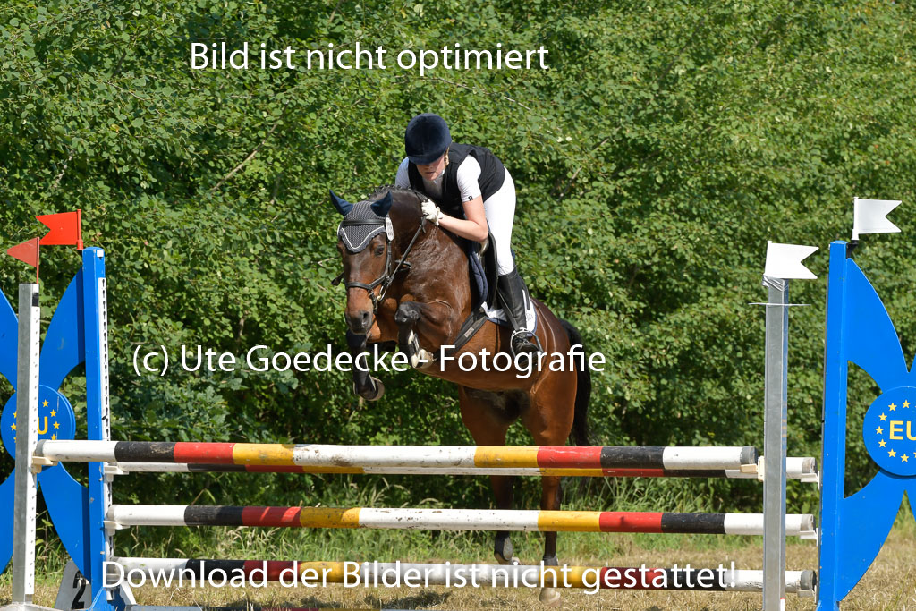Mechtersen 25.06.2023 | 25062023 Stil Springen A_186