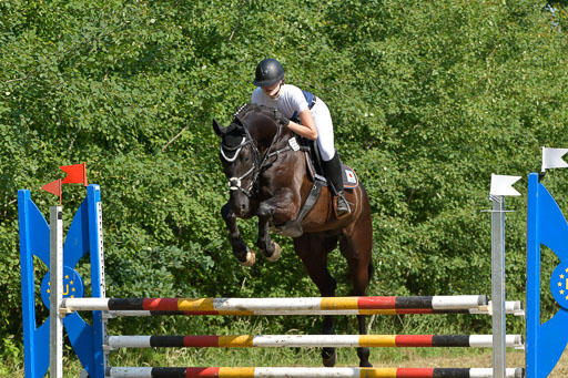 Mechtersen 25.06.2023 | 25062023 Stil Springen A_130 