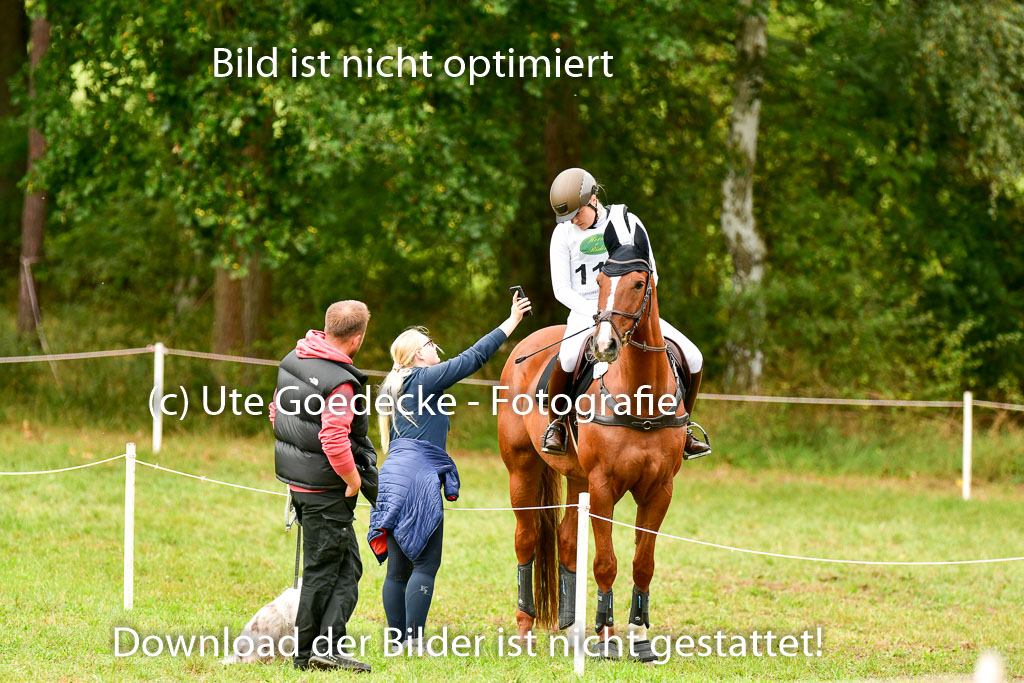 MechtersenHerbstvielseitigkeit 2023 | 240923 Mechtersen Intro