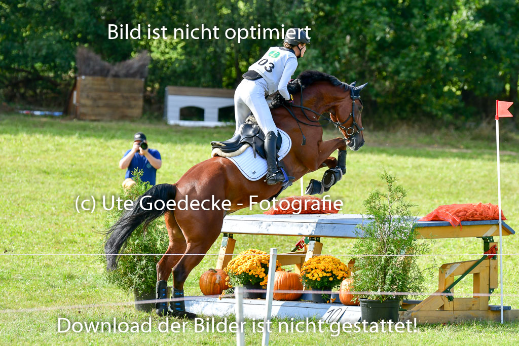 MechtersenHerbstvielseitigkeit 2023 | 240923 Mechtersen Intro_015