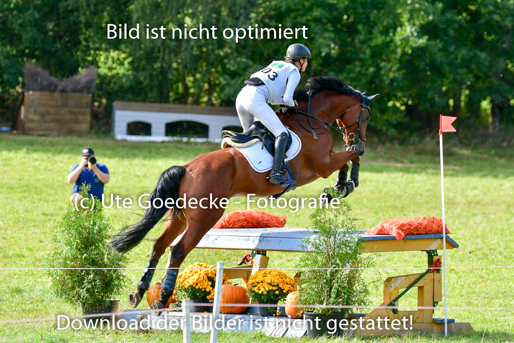 MechtersenHerbstvielseitigkeit 2023 | 240923 Mechtersen Intro_016
