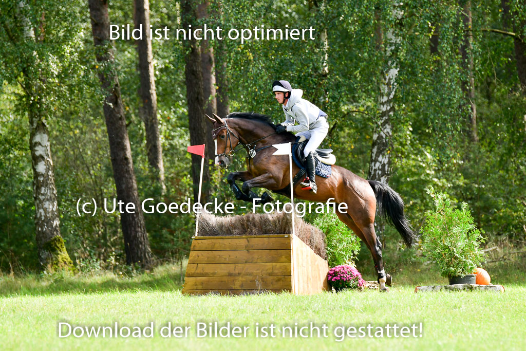 MechtersenHerbstvielseitigkeit 2023 | 240923 Mechtersen Intro_040 