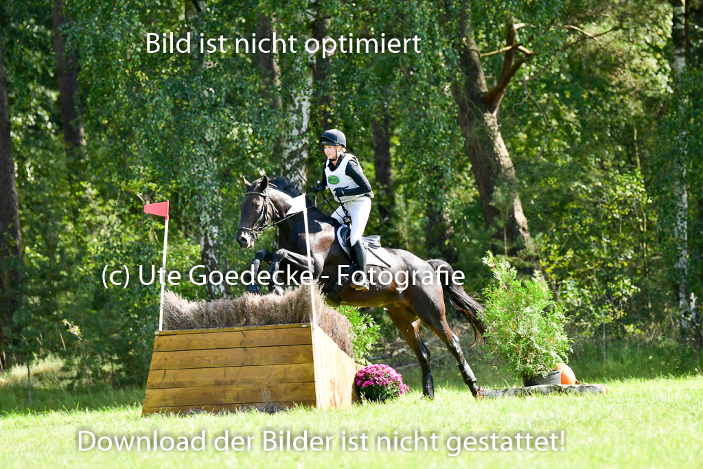 MechtersenHerbstvielseitigkeit 2023 | 240923 Mechtersen Intro_148