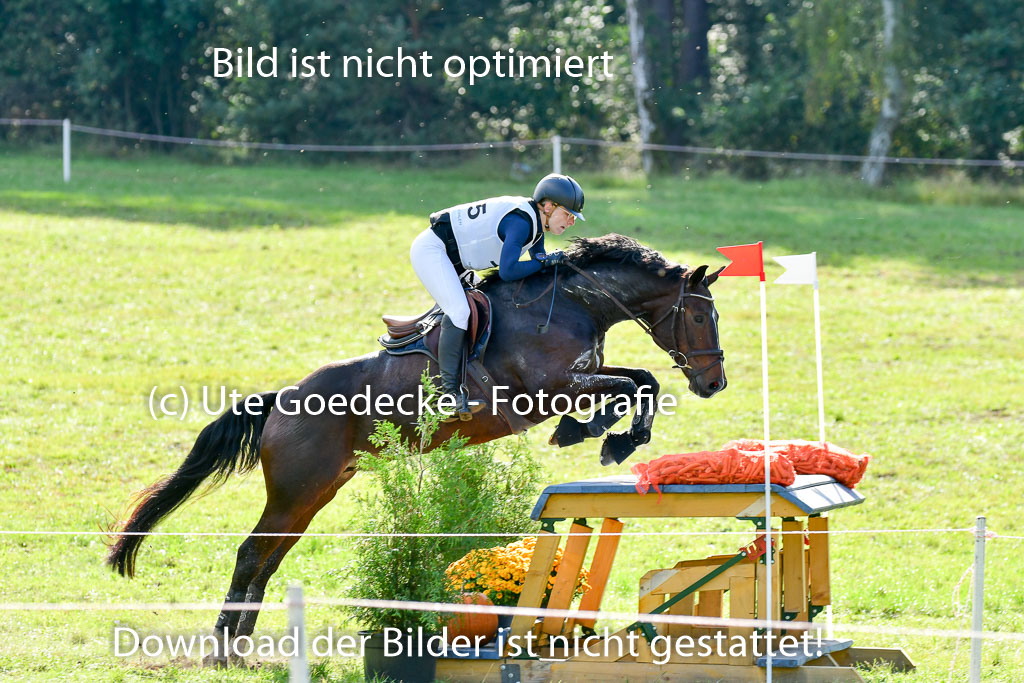 MechtersenHerbstvielseitigkeit 2023 | 240923 Mechtersen Intro_197