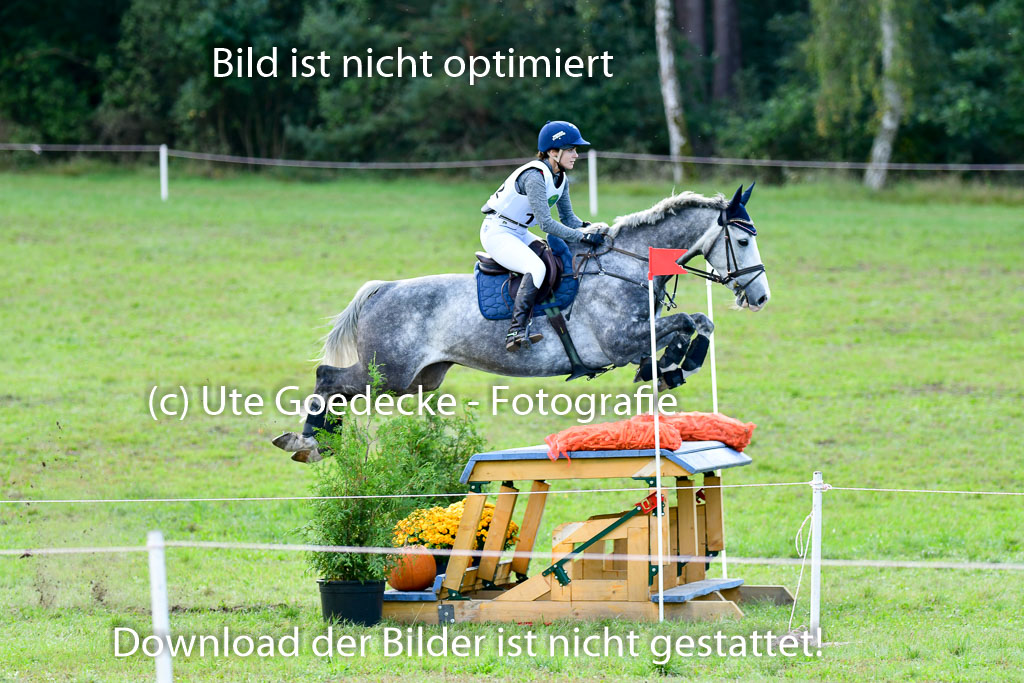 MechtersenHerbstvielseitigkeit 2023 | 240923 Mechtersen Intro_285