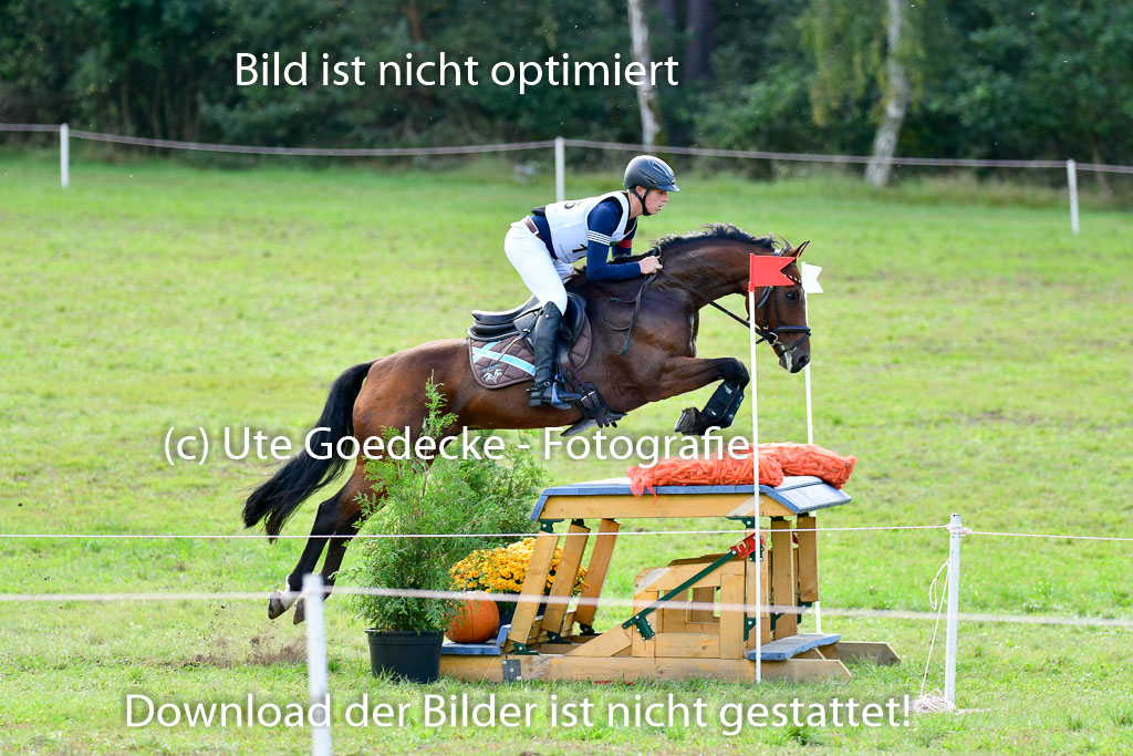 MechtersenHerbstvielseitigkeit 2023 | 240923 Mechtersen Intro_306