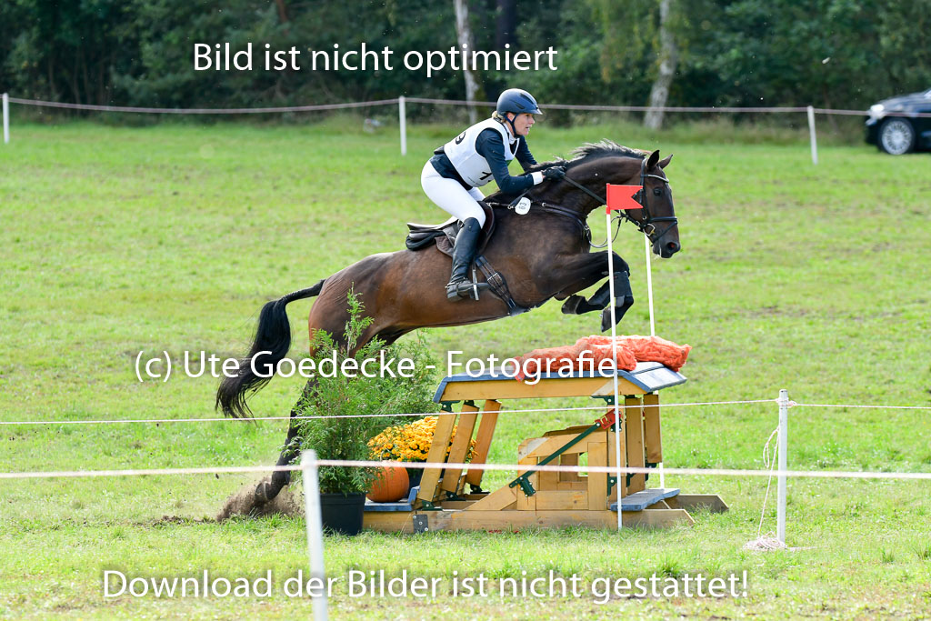 MechtersenHerbstvielseitigkeit 2023 | 240923 Mechtersen Intro_316