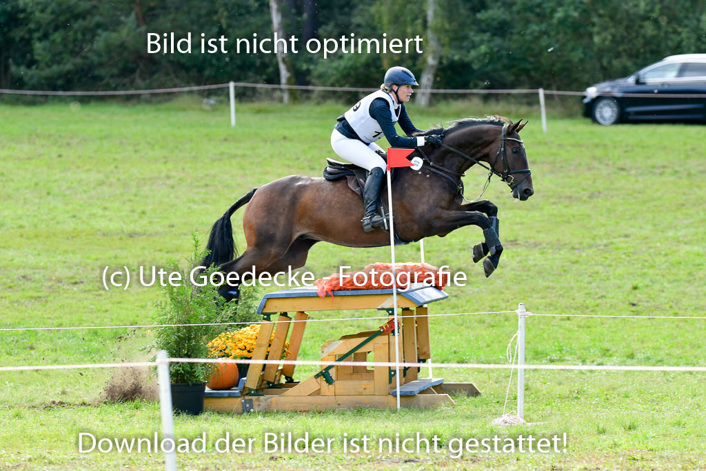 MechtersenHerbstvielseitigkeit 2023 | 240923 Mechtersen Intro_317