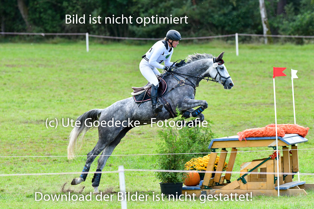 MechtersenHerbstvielseitigkeit 2023 | 240923 Mechtersen Intro_345
