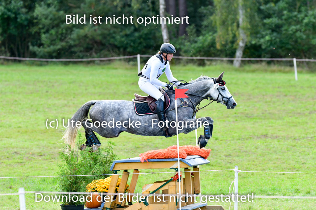 MechtersenHerbstvielseitigkeit 2023 | 240923 Mechtersen Intro_347