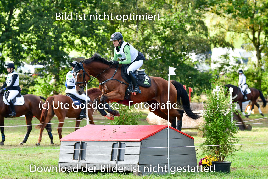 MechtersenHerbstvielseitigkeit 2023 | 240923 Mechtersen Intro_358