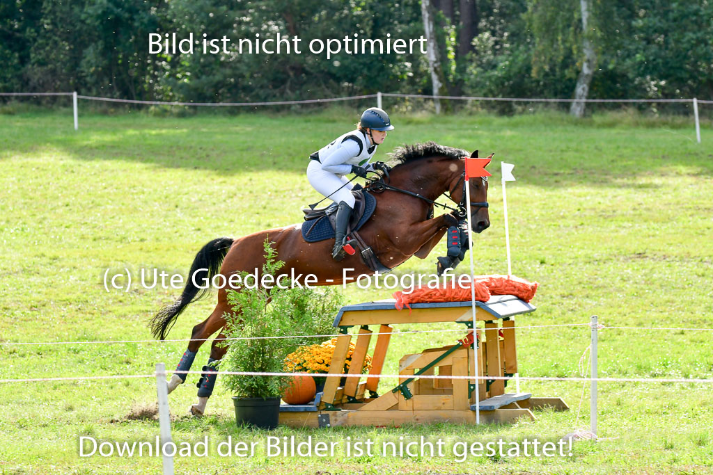 MechtersenHerbstvielseitigkeit 2023 | 240923 Mechtersen Intro_361