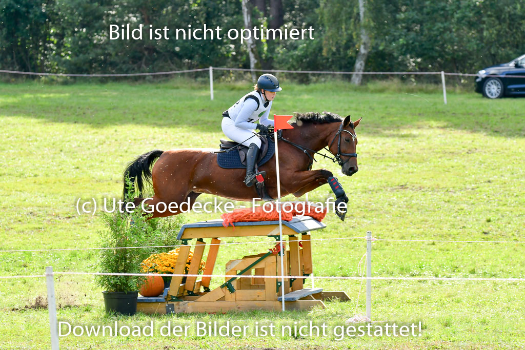 MechtersenHerbstvielseitigkeit 2023 | 240923 Mechtersen Intro_362