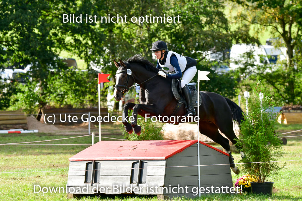 MechtersenHerbstvielseitigkeit 2023 | 240923 Mechtersen Intro_373