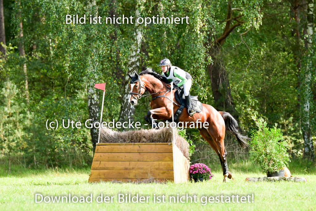 MechtersenHerbstvielseitigkeit 2023 | 240923 Mechtersen Intro_385