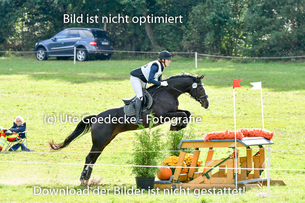 MechtersenHerbstvielseitigkeit 2023 | 240923 Mechtersen Intro_391