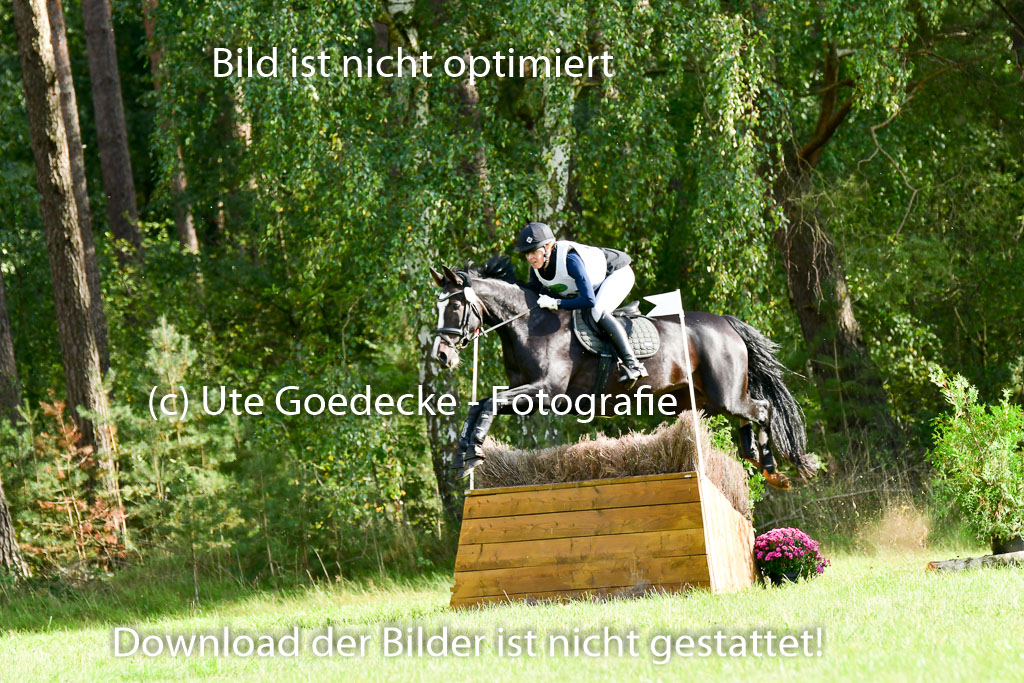 MechtersenHerbstvielseitigkeit 2023 | 240923 Mechtersen Intro_400