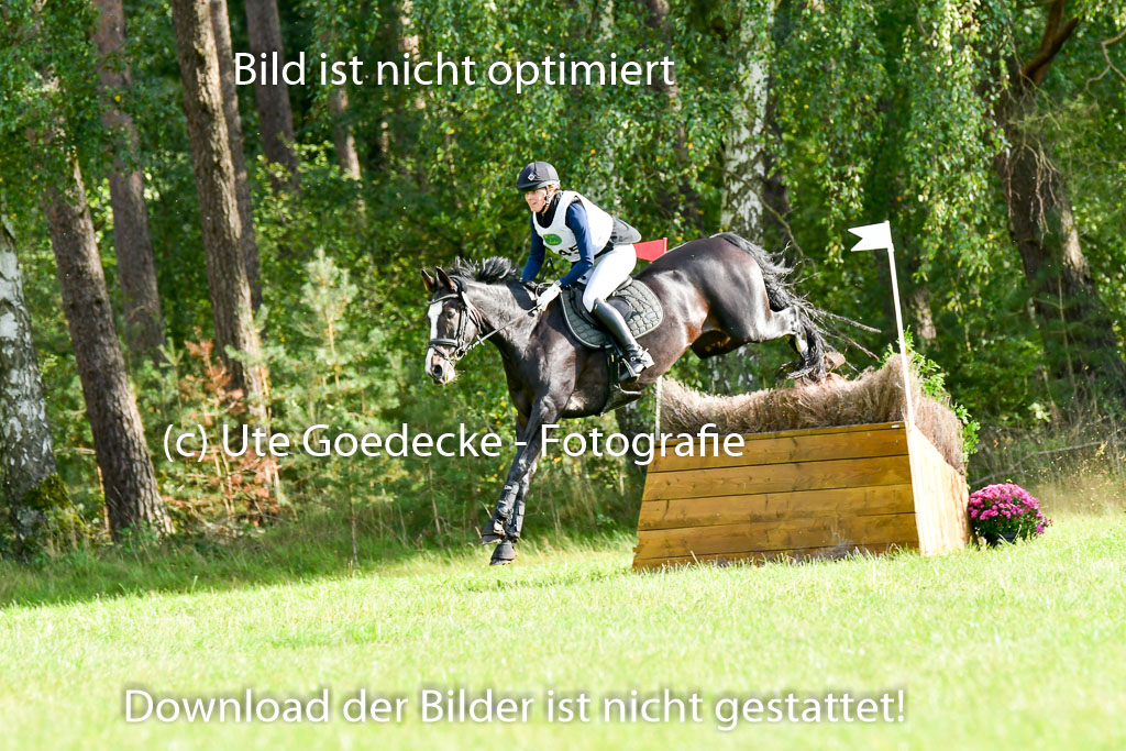 MechtersenHerbstvielseitigkeit 2023 | 240923 Mechtersen Intro_401