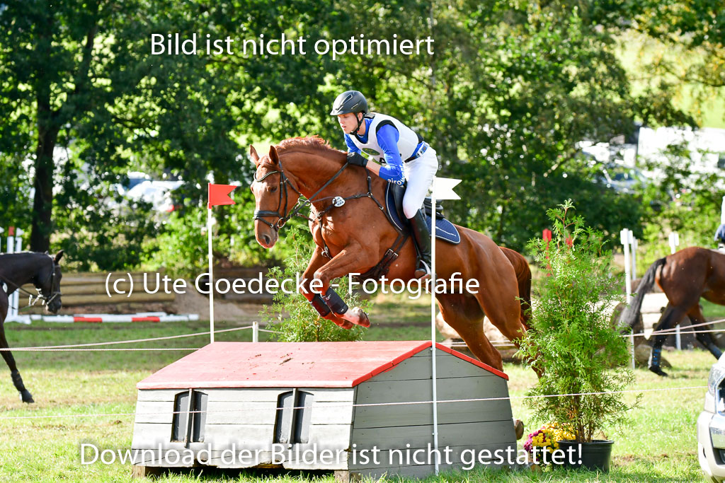 MechtersenHerbstvielseitigkeit 2023 | 240923 Mechtersen Intro_402