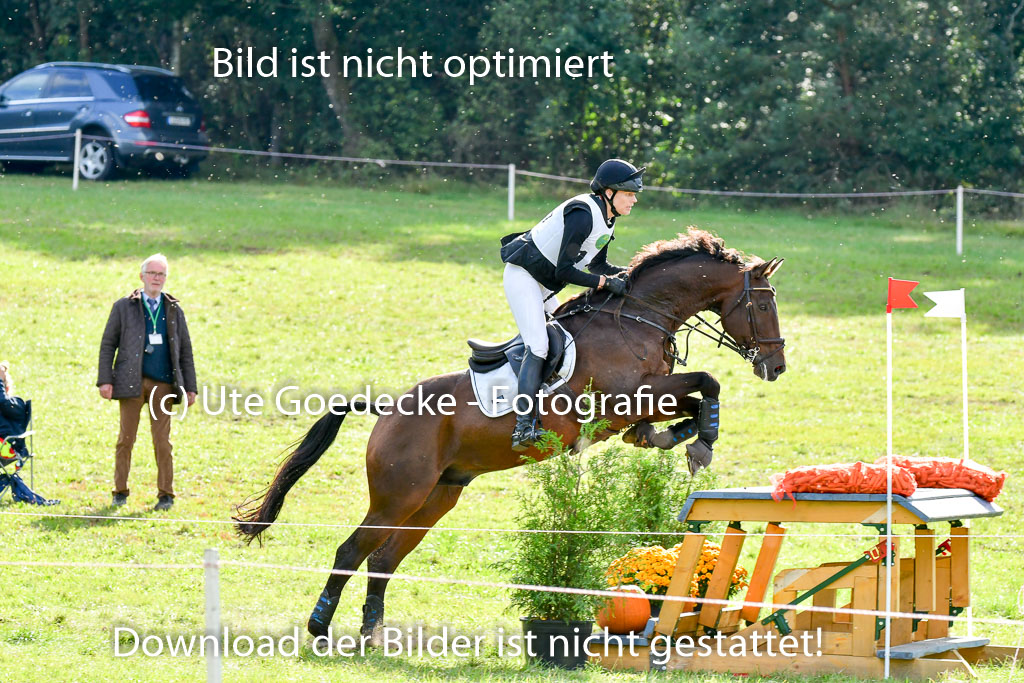 MechtersenHerbstvielseitigkeit 2023 | 240923 Mechtersen Intro_404